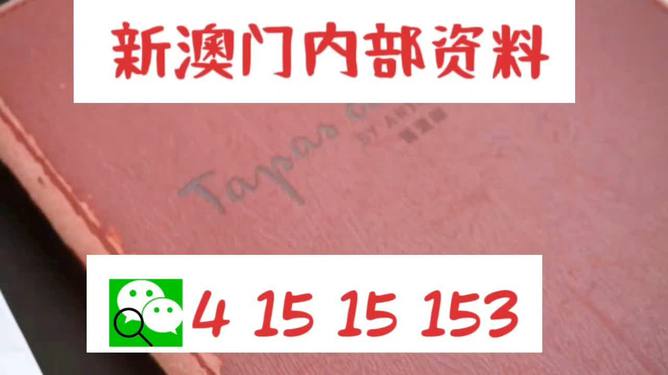 澳门内部最精准免费资料特点,讲解词语解释释义