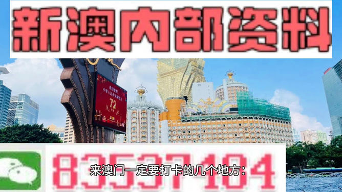 2025新澳最精准资料222期,讲解词语解释释义