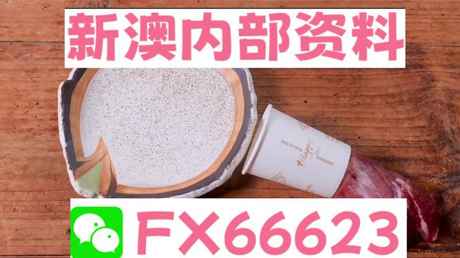 新澳精准资料免费提供4949期,讲解词语解释释义